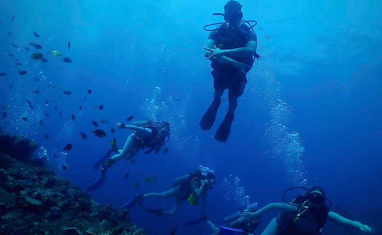 Discover a World Beneath the Waves: Diving in Matrouh - Marine Conservation Efforts in Matrouh